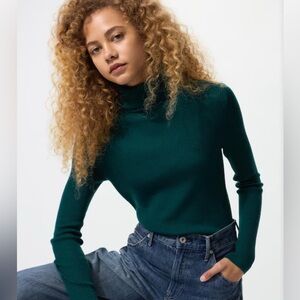 Uniqlo Green Wool Turtleneck